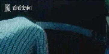 高速吃瓜群众违法吗,安全驾驶，远离违规