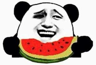 吃瓜群众美拍视频,揭秘吃瓜群众美拍视频背后的趣味瞬间