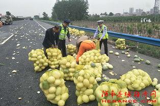 湖南怀化微信吃瓜群众,微信吃瓜群众热议一地风云