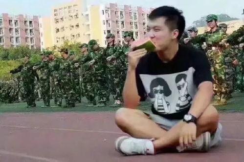 陈炫吃瓜群众,吃瓜群众的视角，揭秘娱乐圈风云