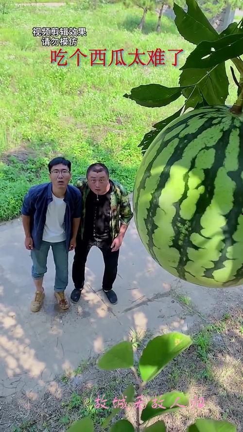 吃瓜群众摘瓜,揭秘娱乐圈幕后故事