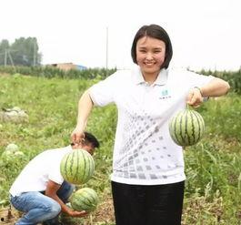 吃瓜群众管子拼接,揭秘娱乐圈背后的那些事儿